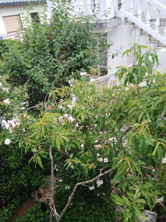 Apartman Marijana Нови Винодолски Екстериор снимка